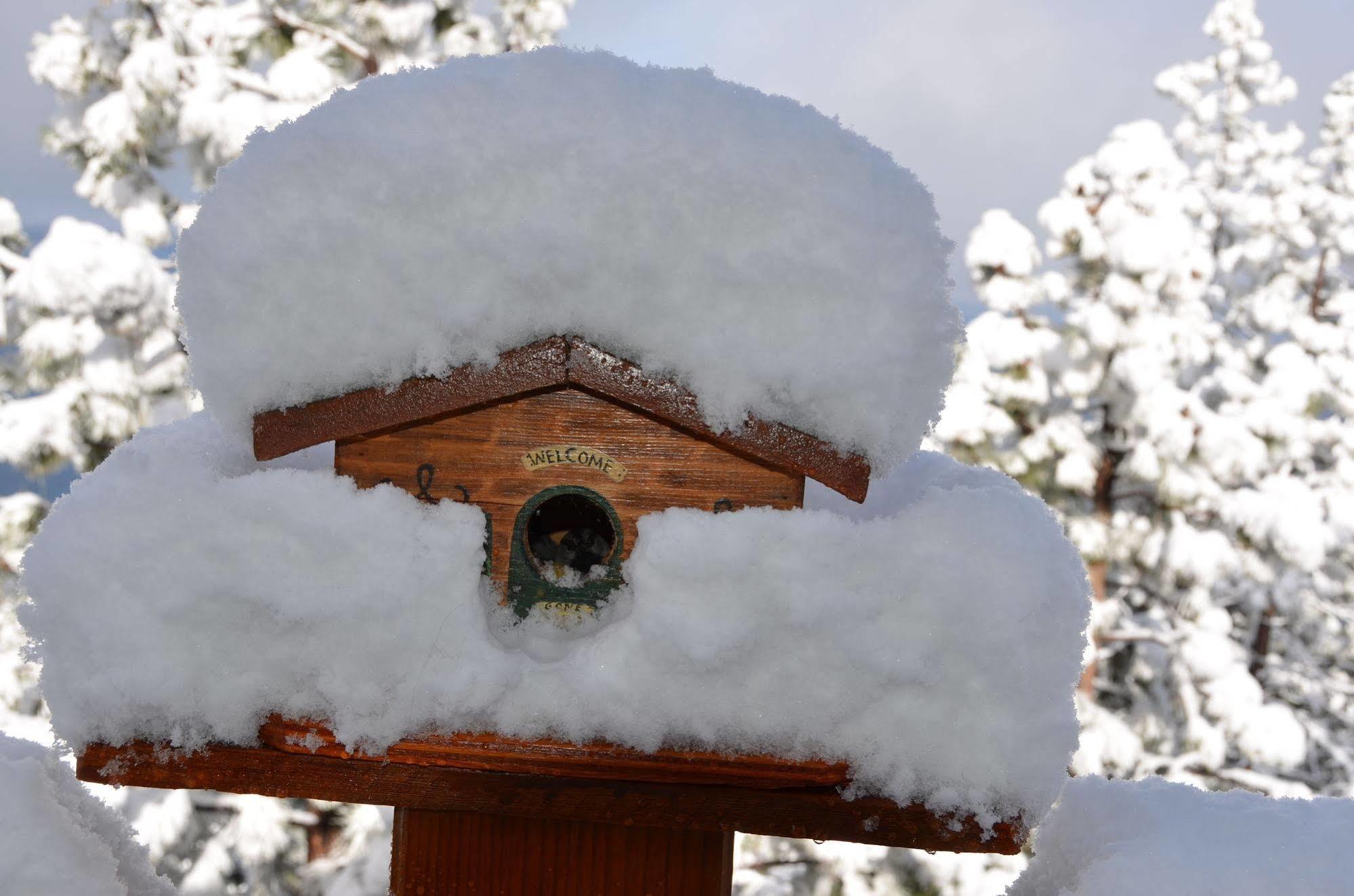 Where Eagles Fly Bed & Breakfast Elk Point 외부 사진