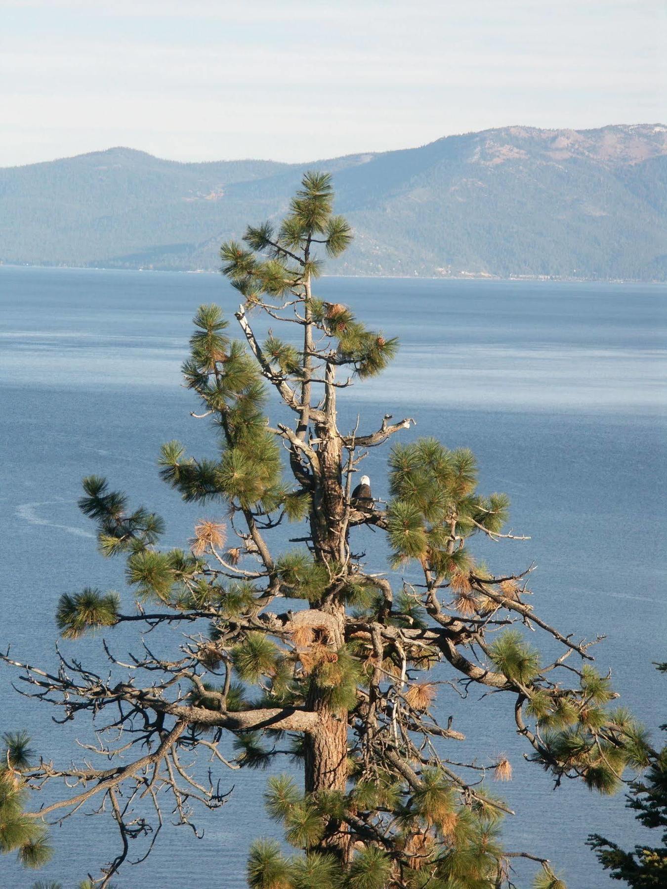 Where Eagles Fly Bed & Breakfast Elk Point 외부 사진